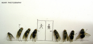 Illustration for article titled The Dead Fly Artwork Of Magnus Muhr